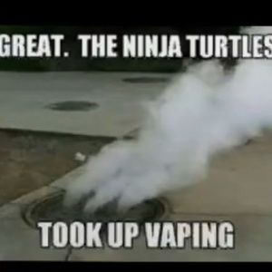 Meet your Posher, Scarlett